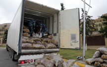Azərbaycana gətirilən 43 ton kartof məhv edildi