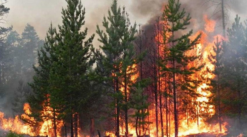 Qazaxıstanda meşə yanğınlarına yaxın kəndlərin sakinləri təxliyə edilir