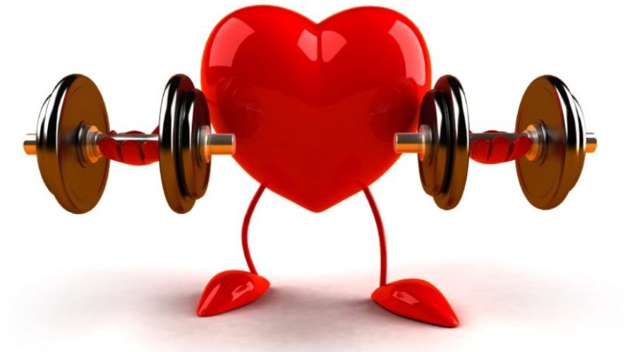 Здоровье сердца укрепляют любые нагрузки