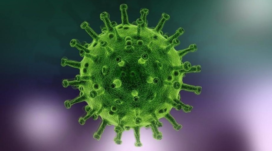 ÜST koronavirusun yeni ştamlarının yaranmasını istisna etmir