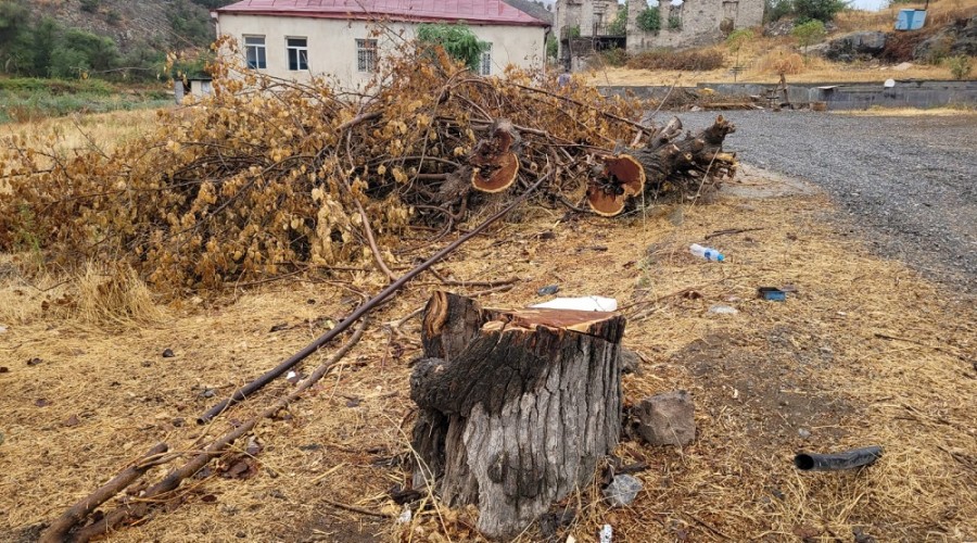 Замминистра об экологическом терроре в Карабахе