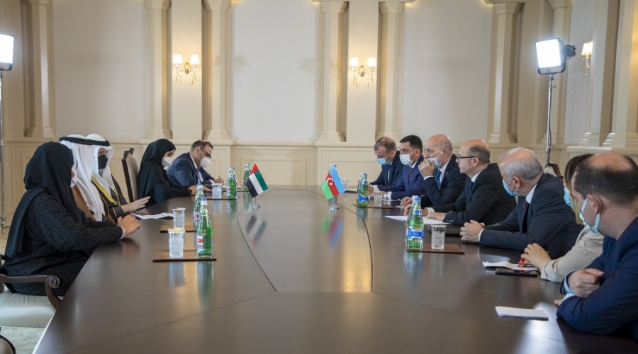 Azerbaijan and the UAE discussed the expansion of the energy sector