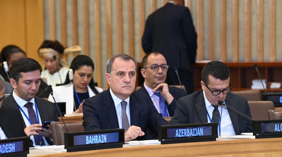 Azerbaijan is worried about the instability in Muslim countries: FM