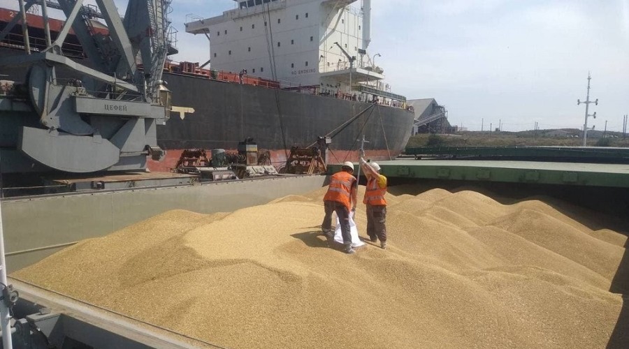 Из портов Украины вышли девять судов с зерном