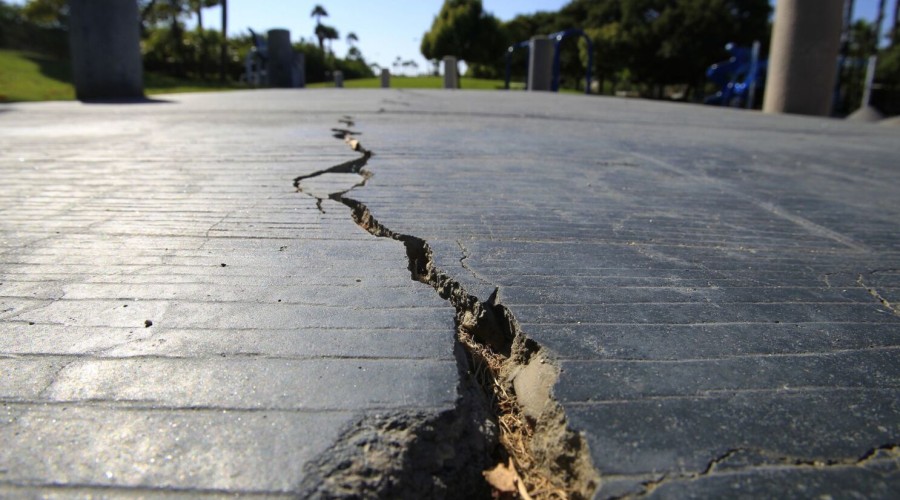 Earthquake shakes Dutch