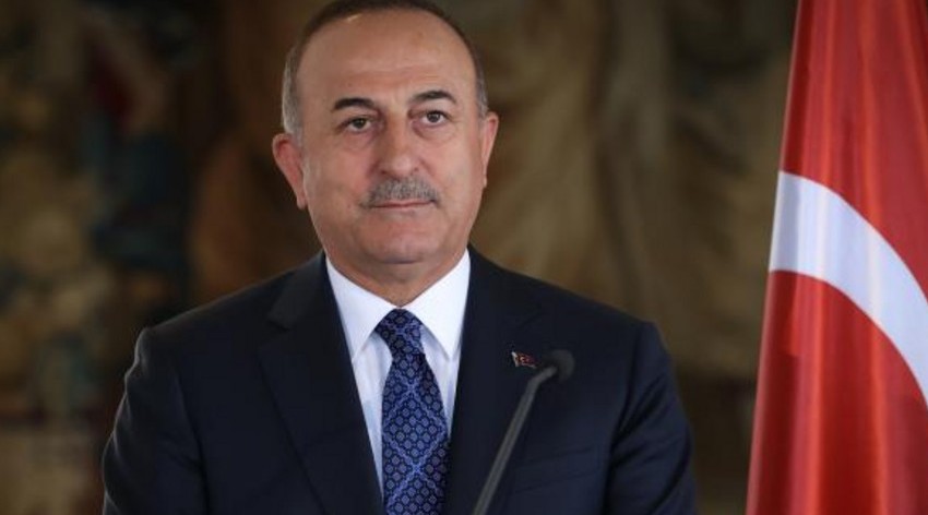 Cavusoglu: Armenian diaspora in France against normalization of relations with Azerbaijan