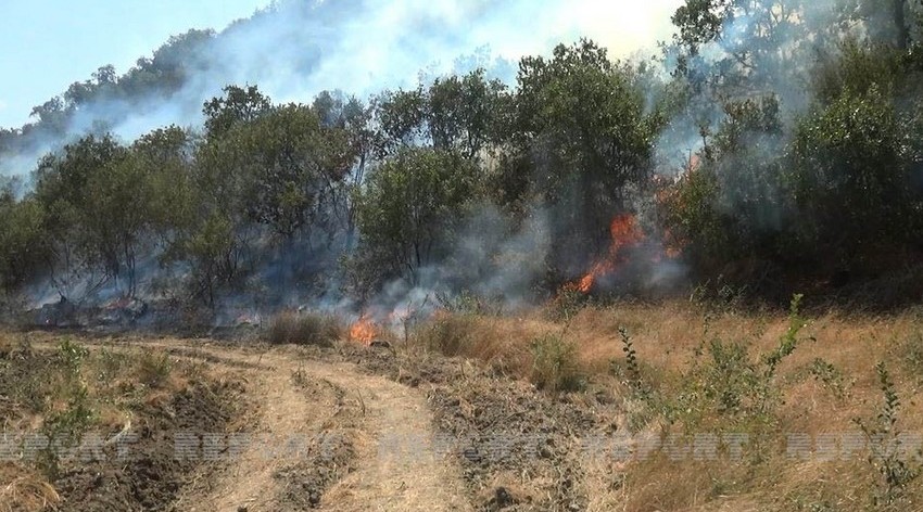 Oğuzda dağlıq ərazidə yanğın başlayıb