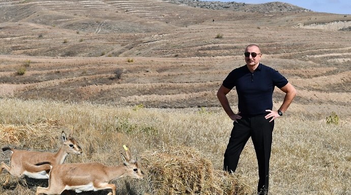 Ilham Aliyev and Recep Tayyip Erdogan released 15 gazelles in Jabrayil region