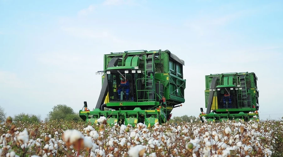 More than 16,000 tons of cotton were collected in Agjabedi region