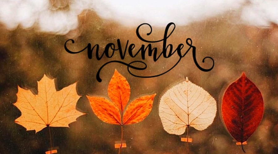 The first day of November will be windy and rainy