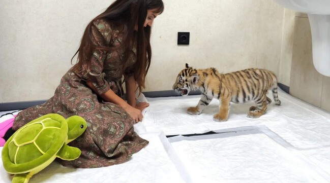 Leyla Aliyeva visited Baku Zoological Park