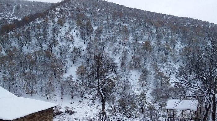 SNOW RAINED in these areas in Azerbaijan - PHOTO