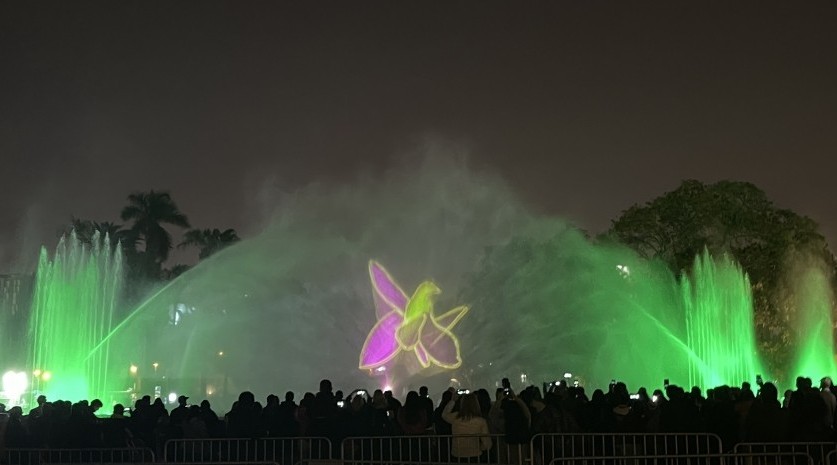 The center of Peru was illuminated with the flag of Azerbaijan - PHOTOS