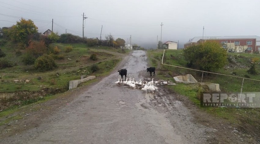 Oğuzda uzun illərdir təmir olunmayan yol yararsız vəziyyətə düşüb