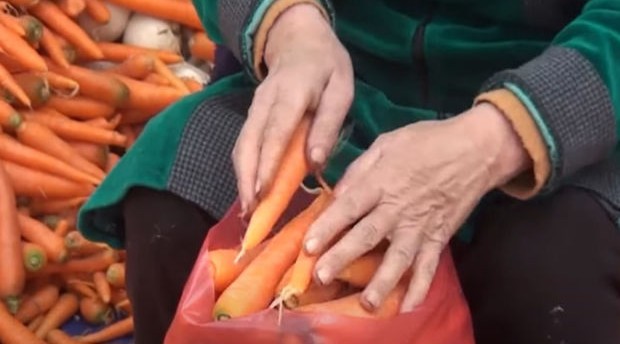 Dünya bazarına çıxan Azərbaycan məhsulu - VİDEO