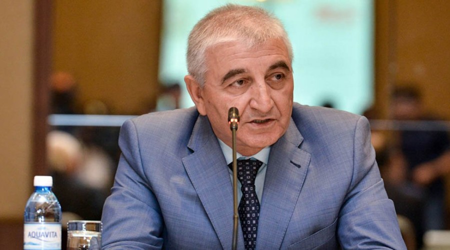 Mazahir Panahov will observe the presidential elections in Kazakhstan