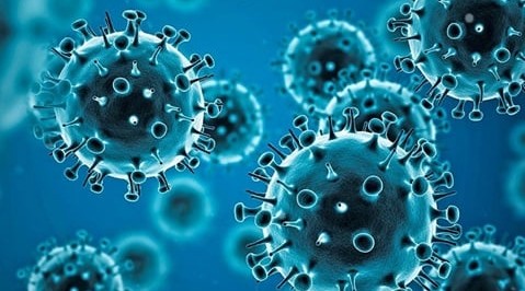 In Azerbaijan, 40 people were infected with the coronavirus in the last day, and 1 person died