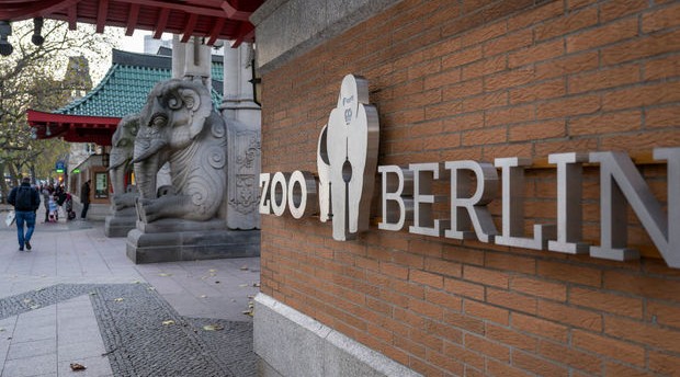 Berlin Zooparkı quş qripinə görə gözlənilmədən bağlandı