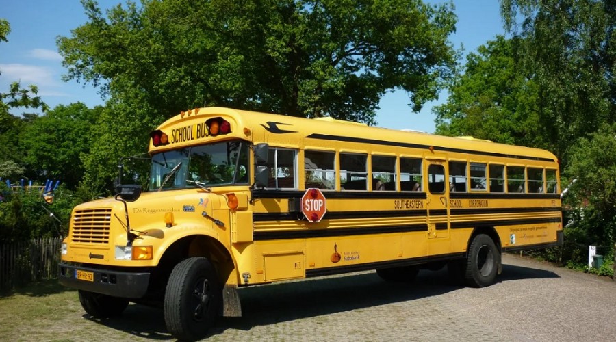 Министр: В нашей дорожной карте есть школьные автобусы