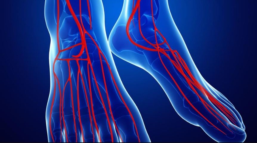 3 признака на ваших ногах, которые сигнализируют о «плохом кровообращении» из-за высокого давления