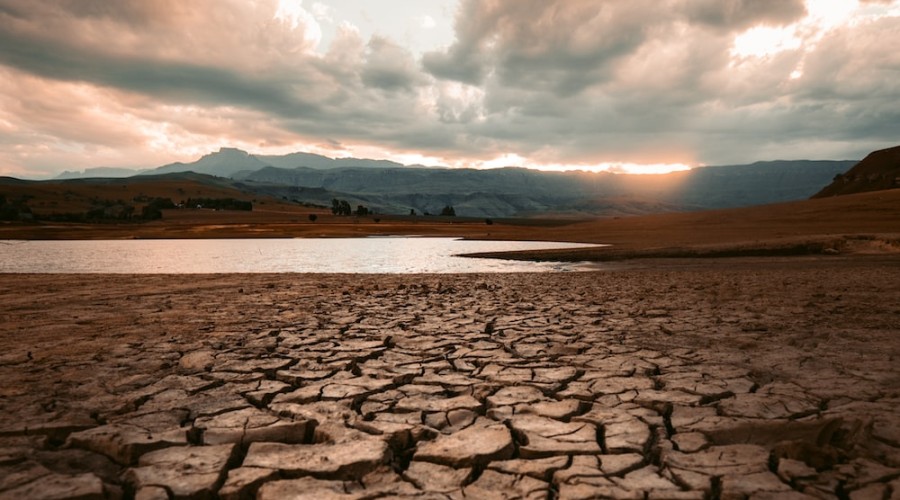 Immediate action should be taken against drought: Experts