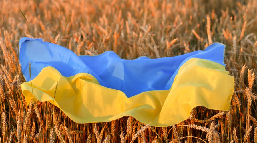 Ukraine is one of the world leaders in producing wheat, barley, corn and sunflower oil, and is known as the “breadbasket of Europe”