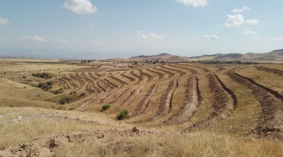 Tree- planting events held in Friendship Forest Complex in Karabakh