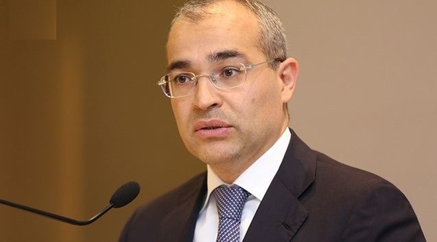 Azerbaijani minister reveals amount of loans issued under interest subsidization mechanism