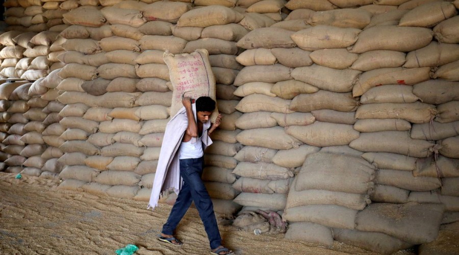 Modi's popularity key to selling cut in food aid ahead of Indian elections