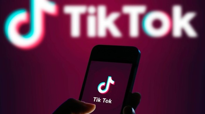 "Azyaşlıların “Tik-Tok”a girişi qadağan olunsun" - TƏKLİF