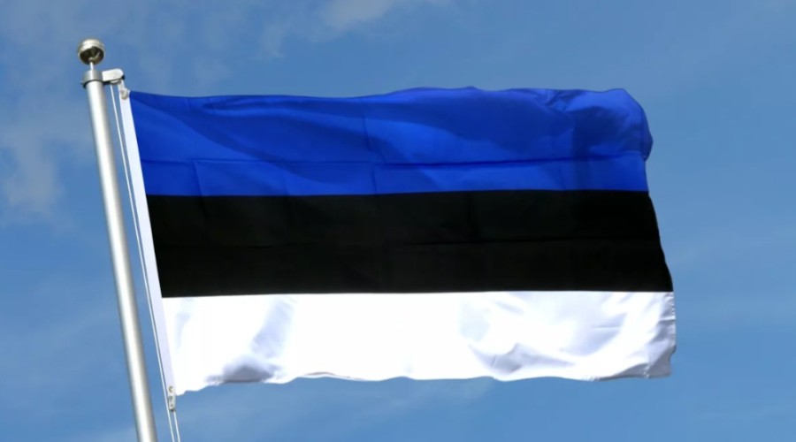 Эстония готовит план конфискации российских активов