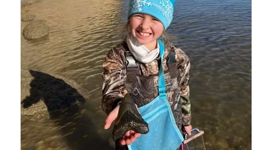 Girl, 9, finds megalodon shark tooth on Maryland beach