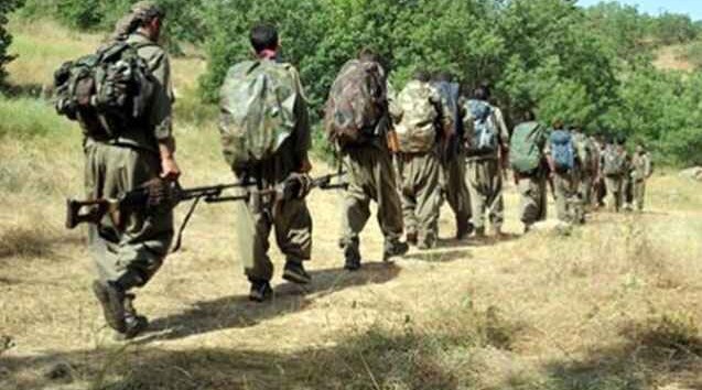 Türkiyə ordusu bir qurup PKK-çını məhv etdi