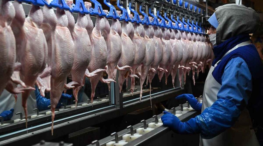 В Азербайджан запрещен ввоз мяса птицы и яиц из Приморского края
