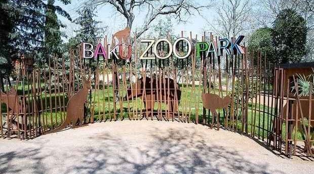 Названа стоимость билетов в Бакинский зоопарк <span style="color:red">(ВИДЕО)</span>