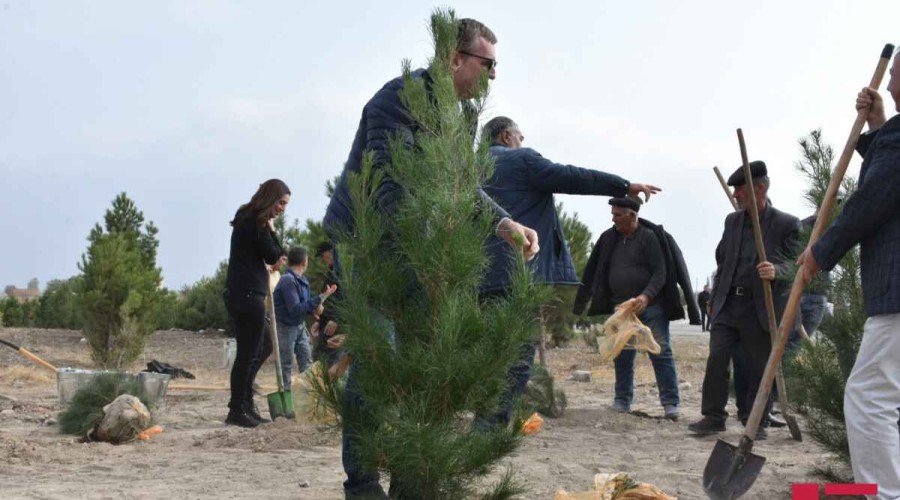 Diplomats planted trees in Magara village of Tartar