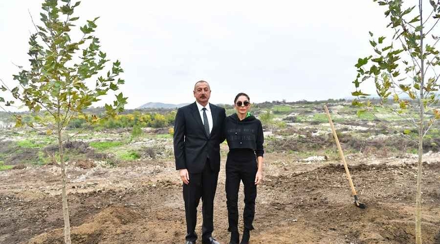 <strong>Президент Ильхам Алиев и первая леди Мехрибан Алиева посадили деревья в Центральном городском парке в Физули - ФОТО</strong>