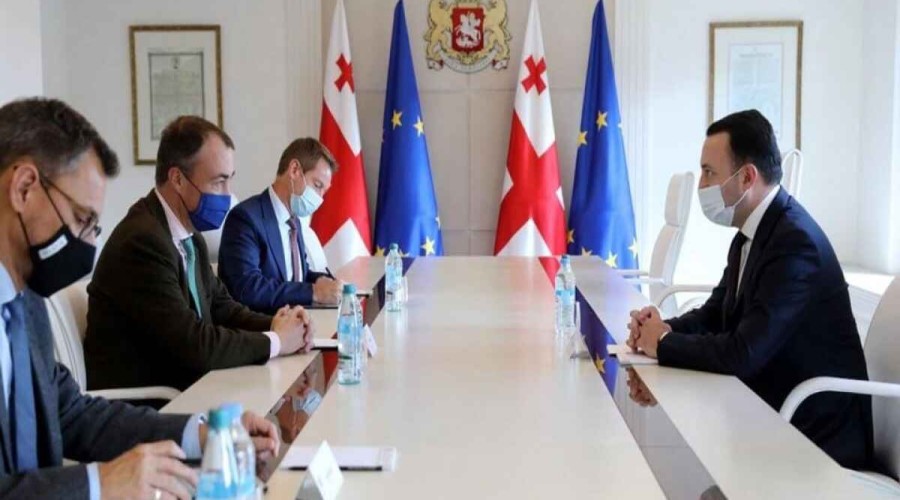 Гарибашвили обсудил стабильность в регионе со спецпредставителем ЕС