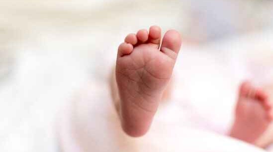 WHO: Over 1M premature babies die every year