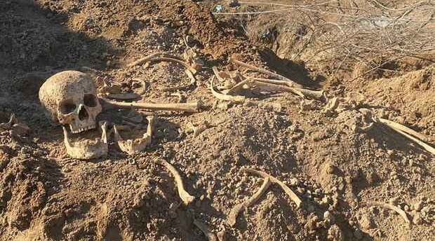 Qobustanda insan skeleti tapıldı