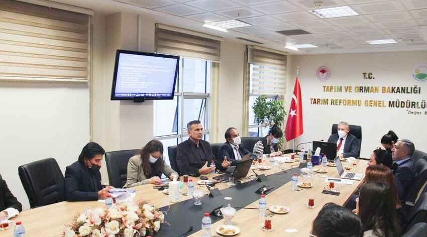 Azerbaijan, Turkey expand agricultural cooperation