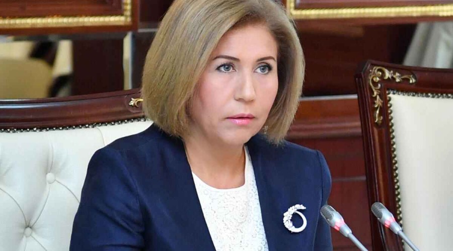 State Committee: "Violence against women is more common in Central Aran region"