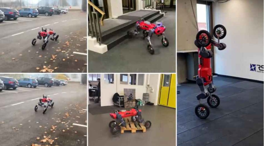 Многоцелевой робот ANYmal может ездить, ходить и даже стоять на двух колесах <span style="color:red">- ВИДЕО</span>