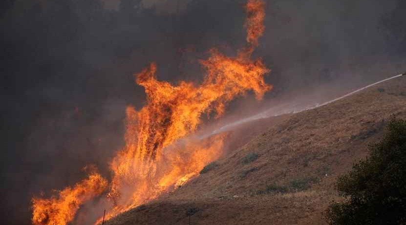 В Астаре горит лес