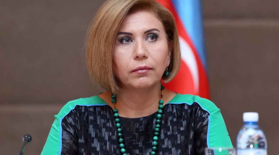 В парламент Азербайджана представлен ежегодный отчет Госкомитета по проблемам семьи, женщин и детей