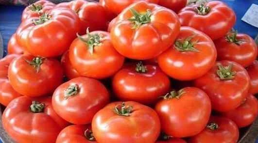 Azərbaycan Rusiyanın ən böyük pomidor tədarükçüsü oldu