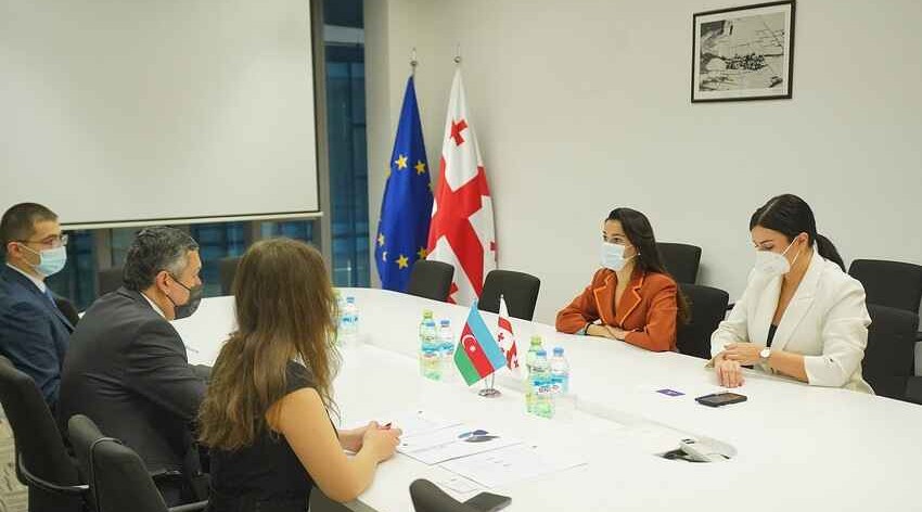 Azerbaijan, Georgia mull cooperation in tourism