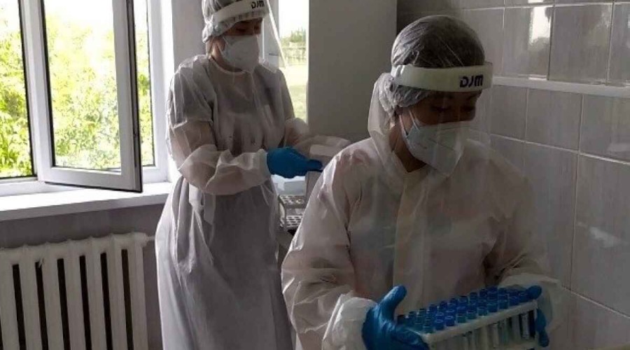 WHO: There were 12 million new coronavirus cases across Europe last week