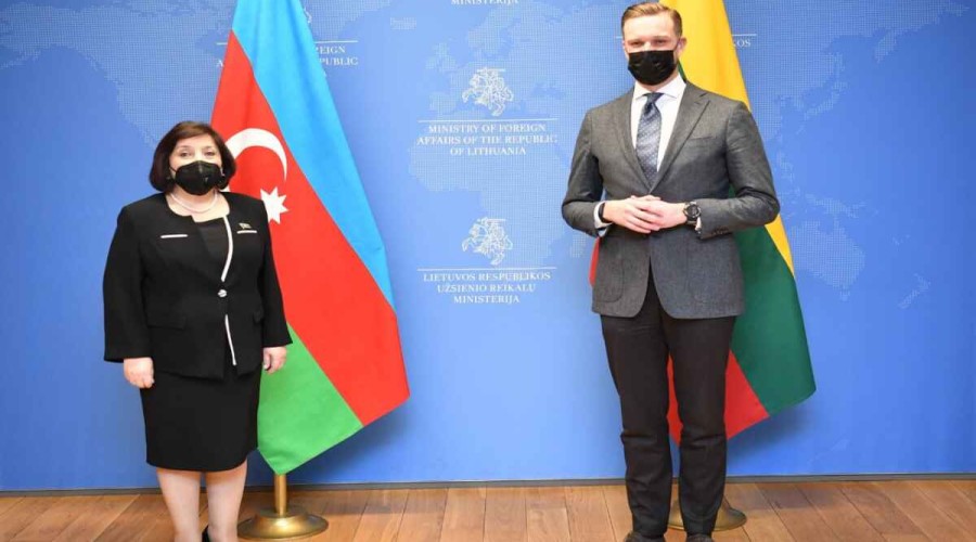 Chair of Milli Majlis Sahiba Gafarova meets Lithuanian Foreign Minister