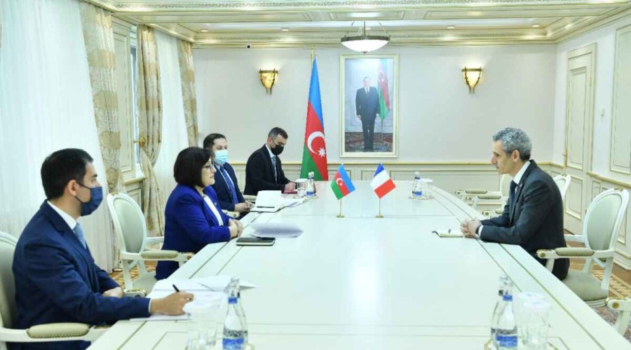 Chair of Azerbaijani Parliament meets French Ambassador to Azerbaijan